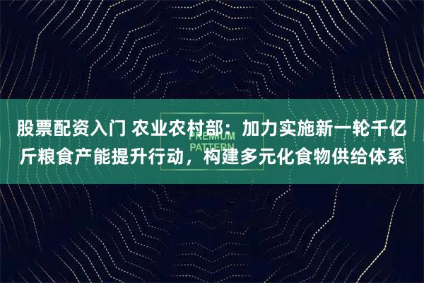 股票配资入门 农业农村部：加力实施新一轮千亿斤粮食产能提升行动，构建多元化食物供给体系