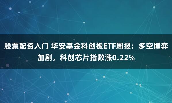 股票配资入门 华安基金科创板ETF周报：多空博弈加剧，科创芯片指数涨0.22%