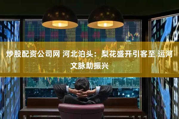 炒股配资公司网 河北泊头：梨花盛开引客至 运河文脉助振兴